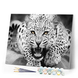 paint by numbers | Leopard Black And White | animals intermediate leopards | FiguredArt