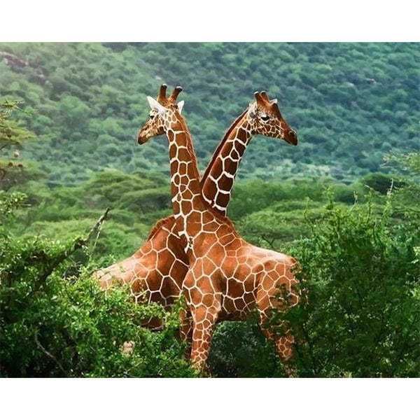 paint by numbers | Two Giraffes | advanced animals giraffes | FiguredArt