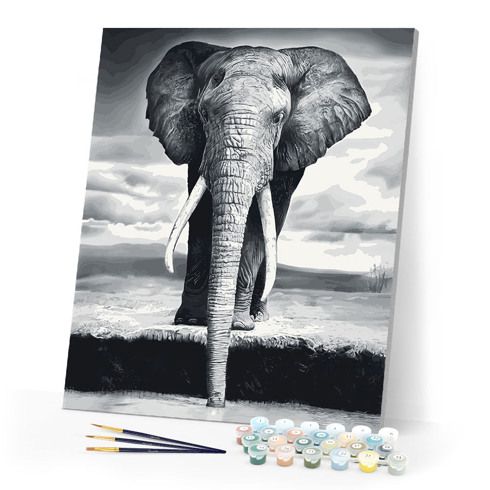 paint by numbers | Grey Elephant | animals easy elephants | FiguredArt