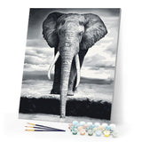 paint by numbers | Grey Elephant | animals easy elephants | FiguredArt