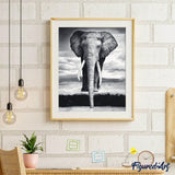 paint by numbers | Grey Elephant | animals easy elephants | FiguredArt