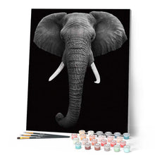 Load image into Gallery viewer, paint by numbers | Elephant White And Black | advanced animals elephants | FiguredArt