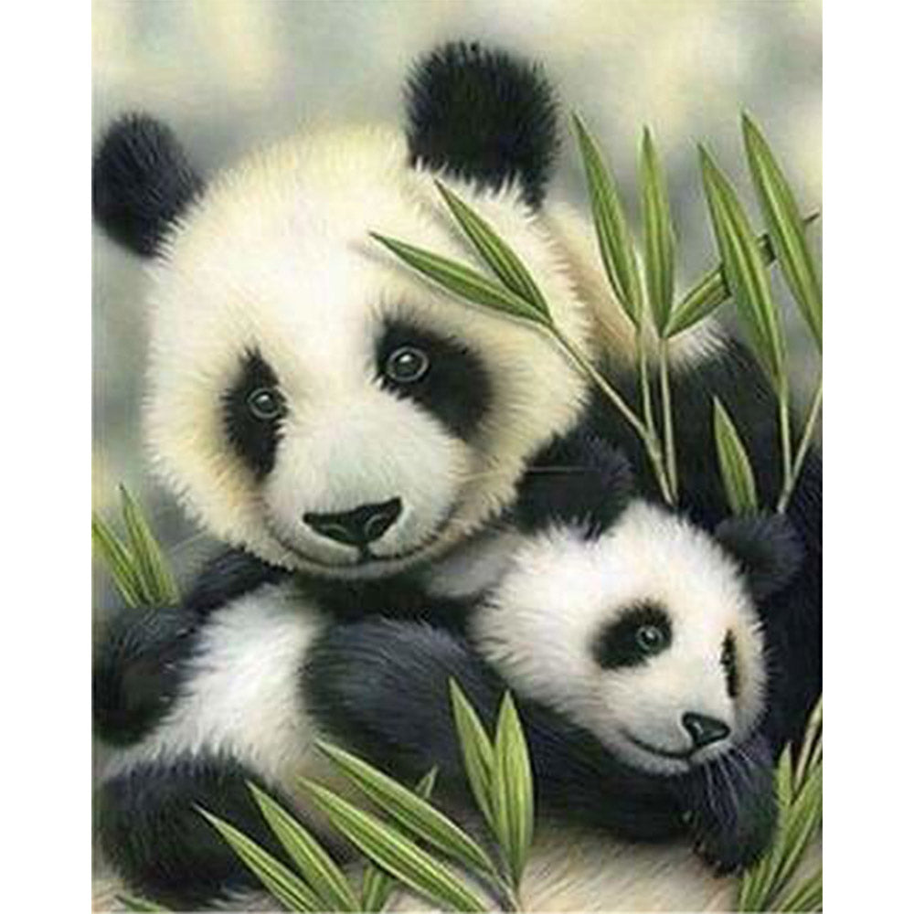 paint by numbers | Panda Couple | advanced animals pandas | FiguredArt