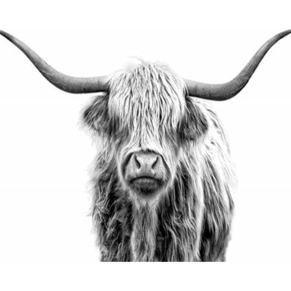 paint by numbers | Yak | advanced animals bison and yaks | FiguredArt