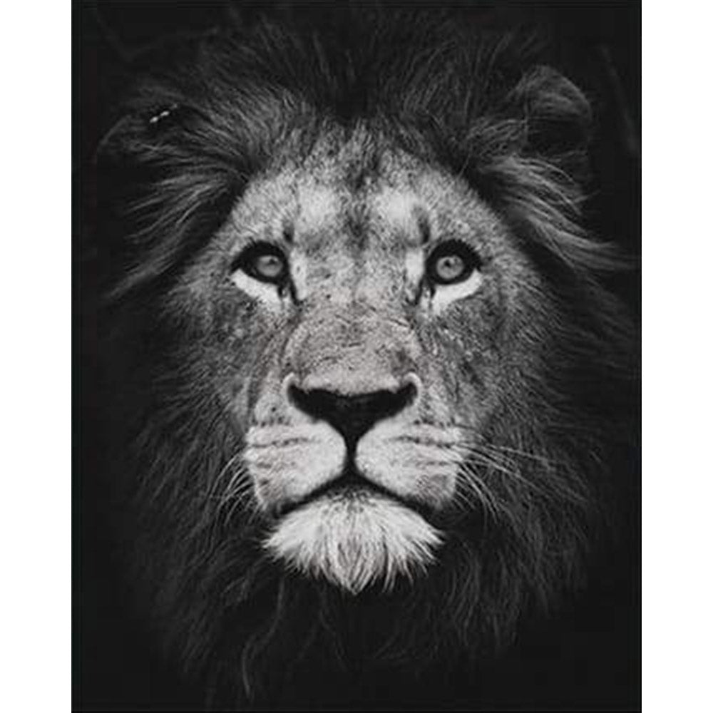 paint by numbers | Lion Head Black And White | advanced animals lions | FiguredArt