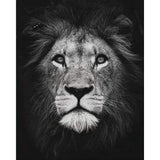 paint by numbers | Lion Head Black And White | advanced animals lions | FiguredArt