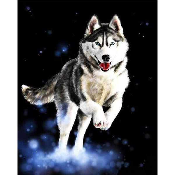 paint by numbers | Husky | animals dogs intermediate | FiguredArt