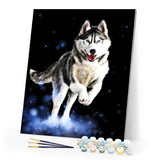 paint by numbers | Husky | animals dogs intermediate | FiguredArt