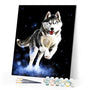 paint by numbers | Husky | animals dogs intermediate | FiguredArt