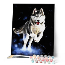 Load image into Gallery viewer, paint by numbers | Husky | animals dogs intermediate | FiguredArt