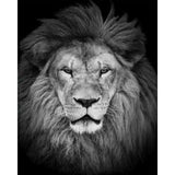 paint by numbers | Lions Head | advanced animals lions | FiguredArt