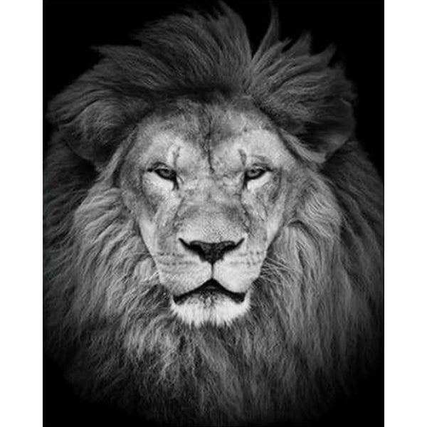 paint by numbers | Lions Head | advanced animals lions | FiguredArt