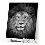 paint by numbers | Lions Head | advanced animals lions | FiguredArt