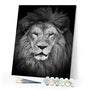 paint by numbers | Lions Head | advanced animals lions | FiguredArt