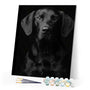 paint by numbers | Black Dog Portrait | advanced animals dogs | FiguredArt