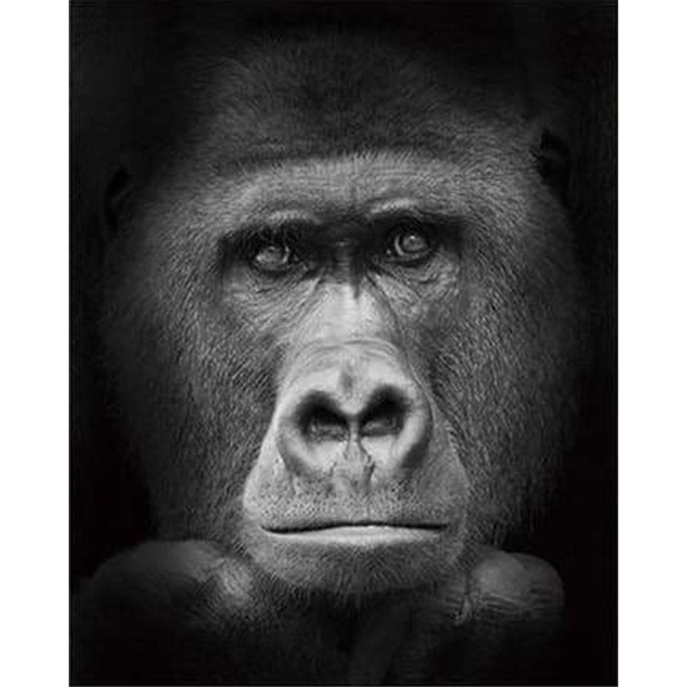 paint by numbers | Gorilla Black And White | advanced animals monkeys | FiguredArt