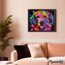Load image into Gallery viewer, paint by numbers | Colorful Labrador | advanced animals Pop Art | FiguredArt