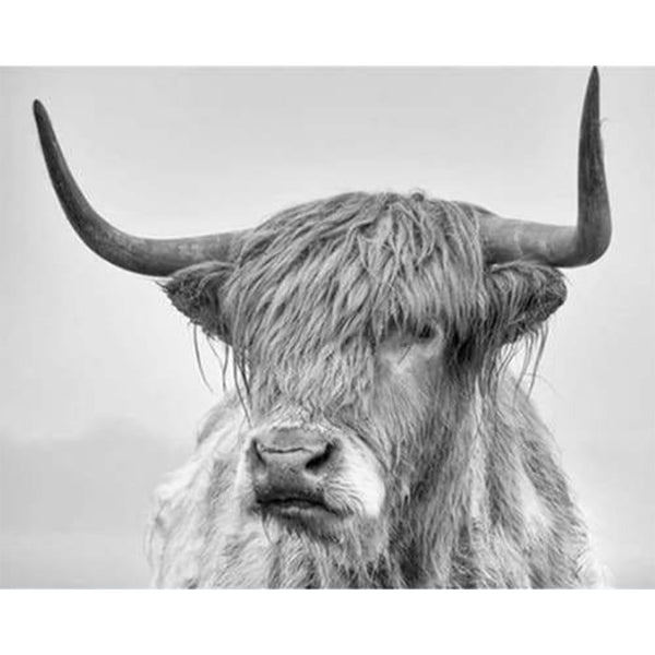 paint by numbers | White Yak | advanced animals bison and yaks | FiguredArt