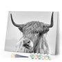 paint by numbers | White Yak | advanced animals bison and yaks | FiguredArt