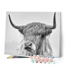 Load image into Gallery viewer, paint by numbers | White Yak | advanced animals bison and yaks | FiguredArt
