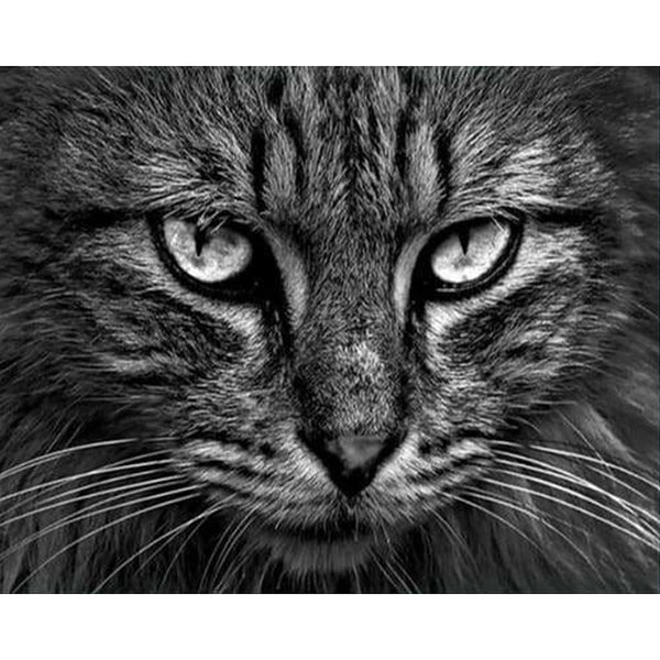 paint by numbers | Cats head | advanced animals cats | FiguredArt