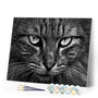 paint by numbers | Cats head | advanced animals cats | FiguredArt
