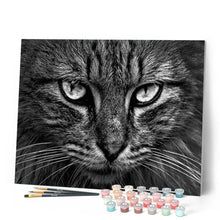 Load image into Gallery viewer, paint by numbers | Cats head | advanced animals cats | FiguredArt