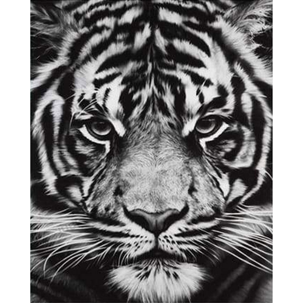 絵画 Tiger Amazon.com: Sense Canvas White Tiger Profile Black And White