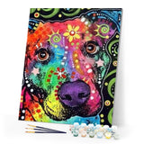 paint by numbers | Head Dog Star | advanced animals dogs | FiguredArt