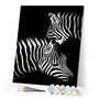 paint by numbers | Zebra White And Black | animals easy zebras | FiguredArt