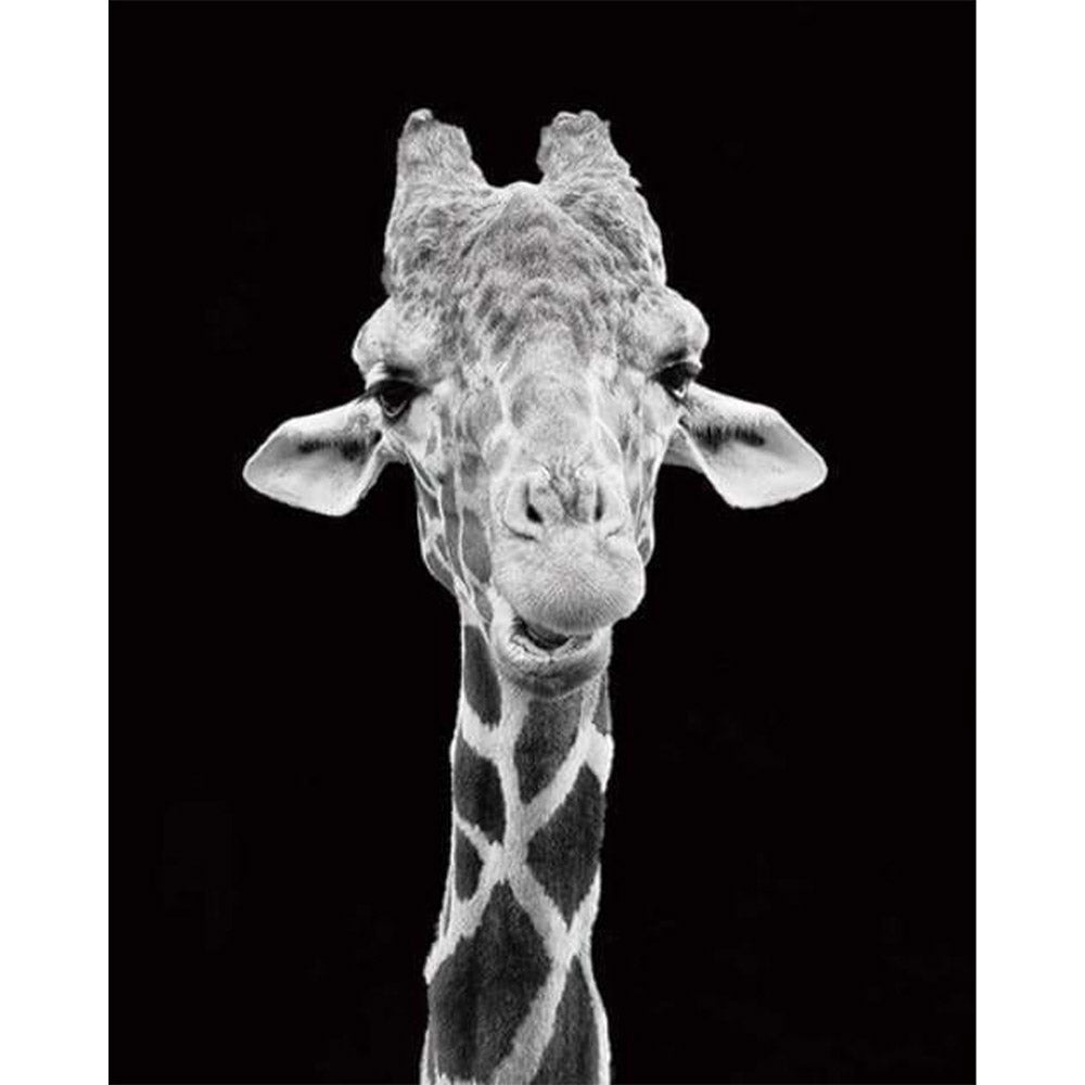 paint by numbers | Giraffe Black And White Portrait | advanced animals giraffes | FiguredArt