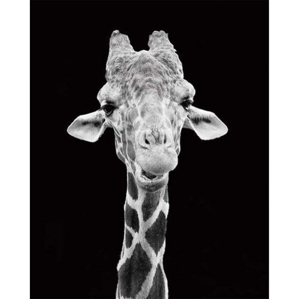 paint by numbers | Giraffe Black And White Portrait | advanced animals giraffes | FiguredArt