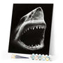 paint by numbers | Shark Black And White | advanced animals fish | FiguredArt