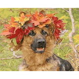 paint by numbers | Dog In Autumn | advanced animals dogs | FiguredArt
