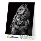 paint by numbers | White Owl and Black | advanced animals owls | FiguredArt