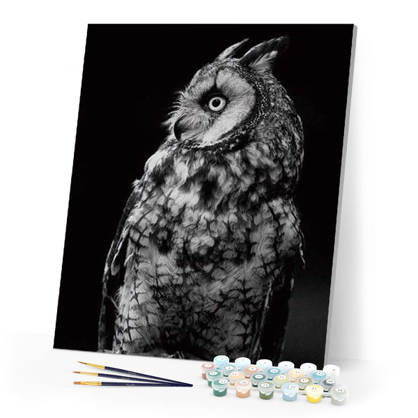 paint by numbers | White Owl and Black | advanced animals owls | FiguredArt