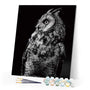 paint by numbers | White Owl and Black | advanced animals owls | FiguredArt