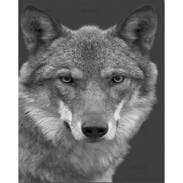 paint by numbers | The Wolf Black and White | advanced animals dogs wolves | FiguredArt