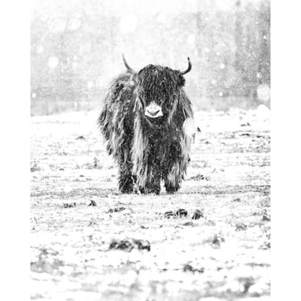paint by numbers | Yak and Winter Snow | advanced animals bison and yaks | FiguredArt