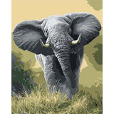 paint by numbers | African Elephant | animals easy elephants | FiguredArt