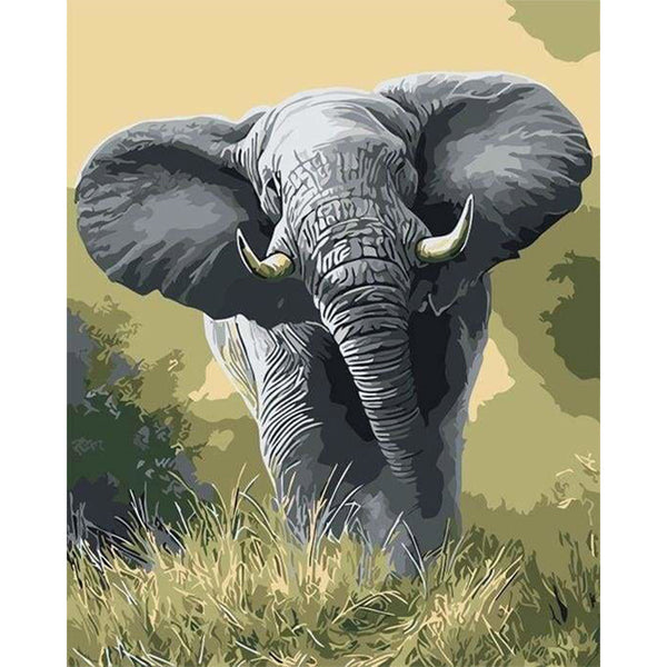 paint by numbers | African Elephant | animals easy elephants | FiguredArt
