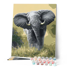 Load image into Gallery viewer, paint by numbers | African Elephant | animals easy elephants | FiguredArt