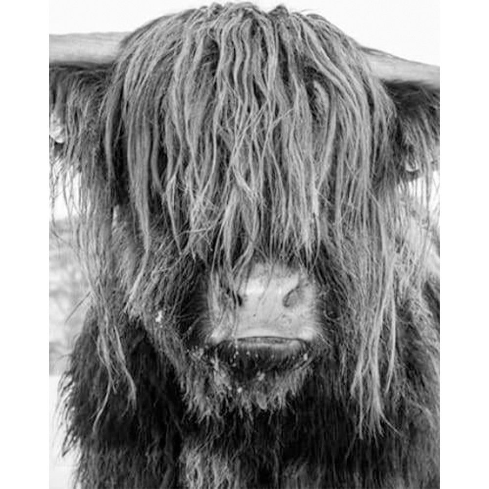 paint by numbers | Disheveled | advanced animals | FiguredArt