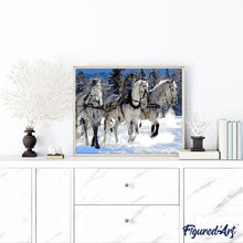 Load image into Gallery viewer, paint by numbers | Horse ballad in the Snow | animals horses intermediate | FiguredArt