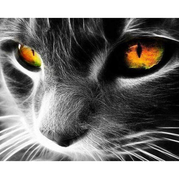 paint by numbers | Cat Eyes | advanced animals cats | FiguredArt