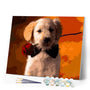 paint by numbers | Romantic Dog | animals dogs easy | FiguredArt