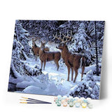 paint by numbers | Deer in the Snow | advanced animals deer | FiguredArt