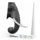 paint by numbers | Dark gray Elephant | advanced animals elephants | FiguredArt