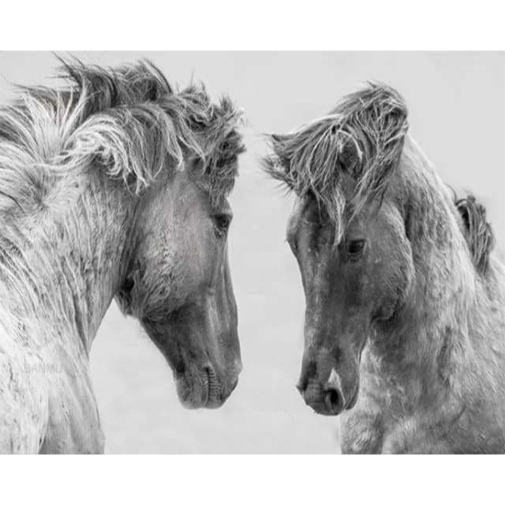 paint by numbers | Confrontation Two Horses | advanced animals horses | FiguredArt