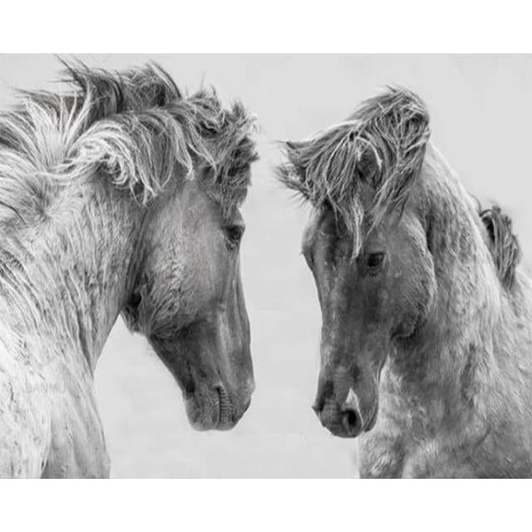paint by numbers | Confrontation Two Horses | advanced animals horses | FiguredArt